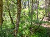 0000 E Fork Rd - Photo 71