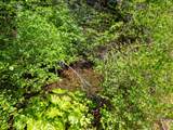 0000 E Fork Rd - Photo 72
