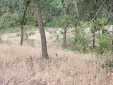 0000 E Fork Rd - Photo 76