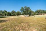 9733 Hidden Lane - Photo 47