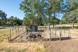 9733 Hidden Lane - Photo 48