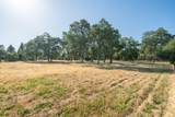 9733 Hidden Lane - Photo 51