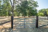 9733 Hidden Lane - Photo 54