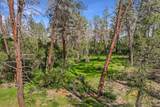 9200 Silver King Road - Photo 4