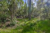 9200 Silver King Road - Photo 9