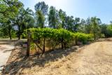 10769 Oak Run Road - Photo 44