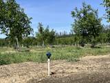 18525 Farquhar Road - Photo 25
