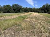 18525 Farquhar Road - Photo 33