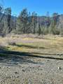 16925 Walker Mine Road - Photo 11