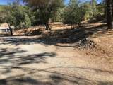 16925 Walker Mine Road - Photo 7