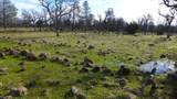 Lot 20 Ash Creek Road - Photo 1