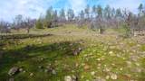 Lot 20 Ash Creek Road - Photo 12