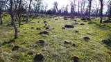 Lot 20 Ash Creek Road - Photo 20