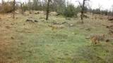 Lot 20 Ash Creek Road - Photo 6