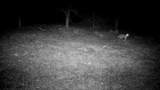 Lot 20 Ash Creek Road - Photo 8