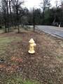 12680 Akrich St - Photo 2