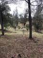 12680 Akrich St - Photo 3