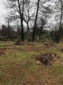 12680 Akrich St - Photo 4