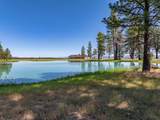 41494 Gomez Road - Photo 54
