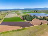 41494 Gomez Road - Photo 59