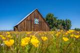 41494 Gomez Road - Photo 6