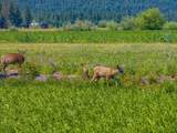 41494 Gomez Road - Photo 77