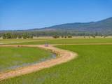 41494 Gomez Road - Photo 81