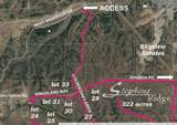 Lot 31 Kingsland Way - Photo 14