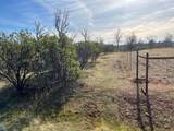 Lot 31 Kingsland Way - Photo 2