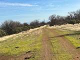 Lot 31 Kingsland Way - Photo 4