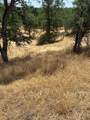 Quail Ridge Road - Photo 4