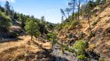 13213 Hidden Oaks Trail - Photo 39