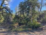 12694 Walker Mine Road - Photo 10
