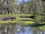 10855 Beaver Road - Photo 40
