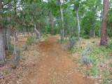 29119 Day Road - Photo 34