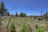 549-405 Lowther Mountain Trail - Photo 40