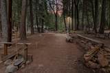 30704 Hagen Flat Road - Photo 108