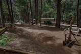 30704 Hagen Flat Road - Photo 109