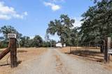 3441 Shane Lane - Photo 3