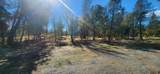 18820 Old Oasis Road - Photo 4