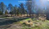 18820 Old Oasis Road - Photo 7