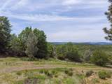  320 Acres Melton Road - Photo 12