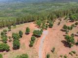  320 Acres Melton Road - Photo 16