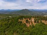  320 Acres Melton Road - Photo 17