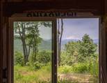  320 Acres Melton Road - Photo 5