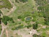  320 Acres Melton Road - Photo 7