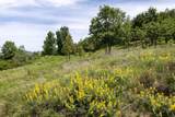  320 Acres Melton Road - Photo 8