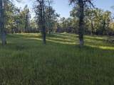 Lot 8 Neal Lane - Photo 1