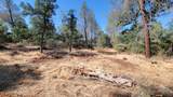 Lot 21 Lack Creek Drive - Photo 4