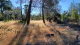 Lot 21 Lack Creek Drive - Photo 6